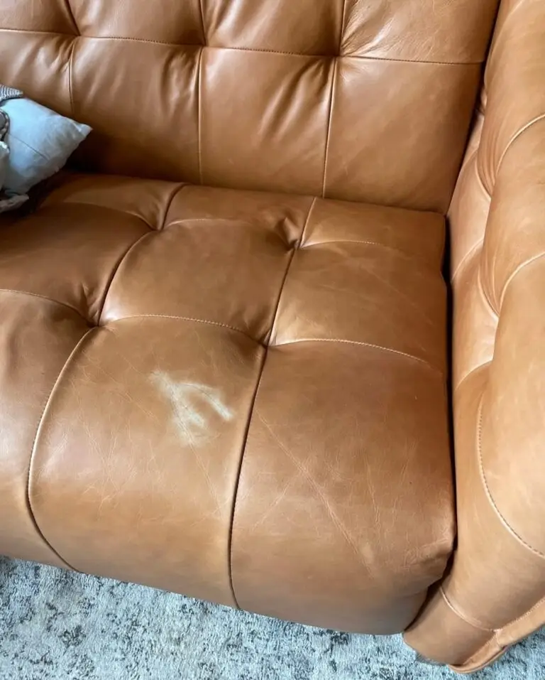 Couch before coloring