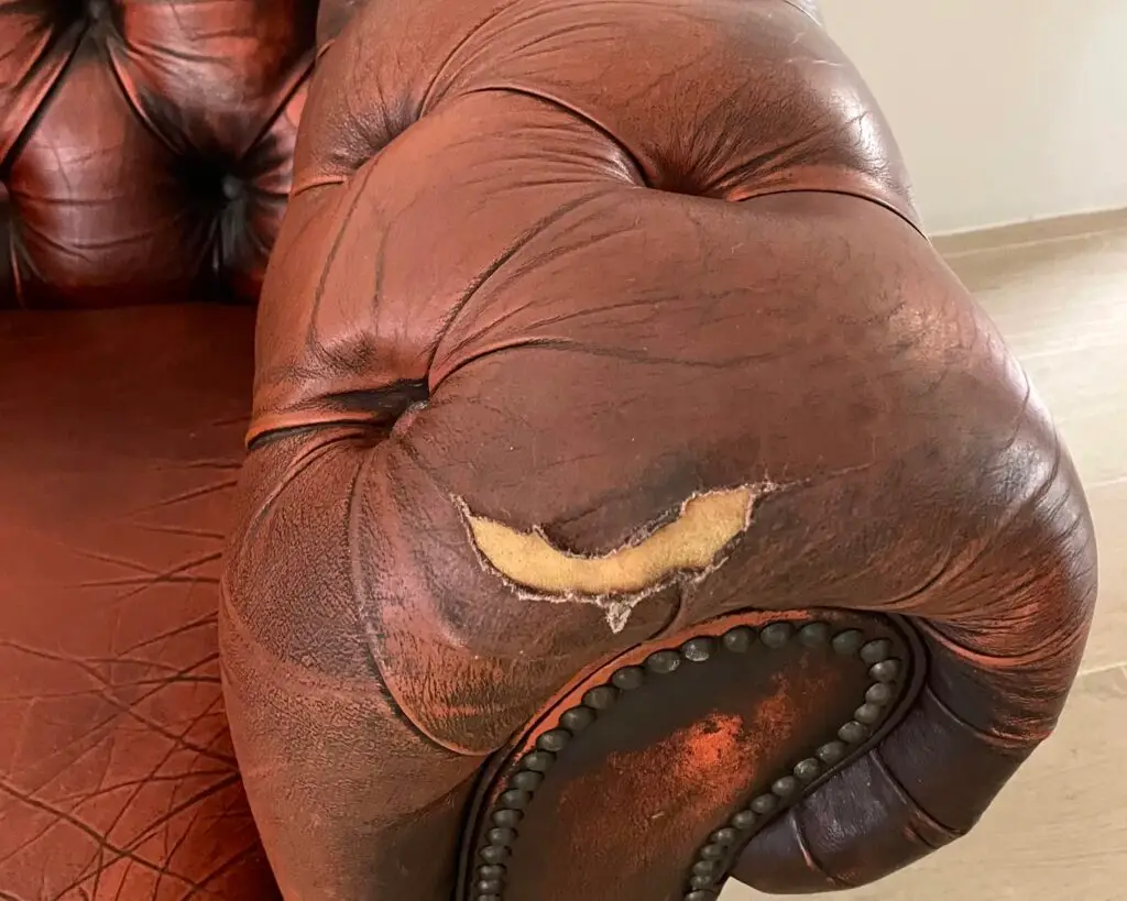 tips on repairing tears in old leather chair v0 j0zvw2jdsnjc1