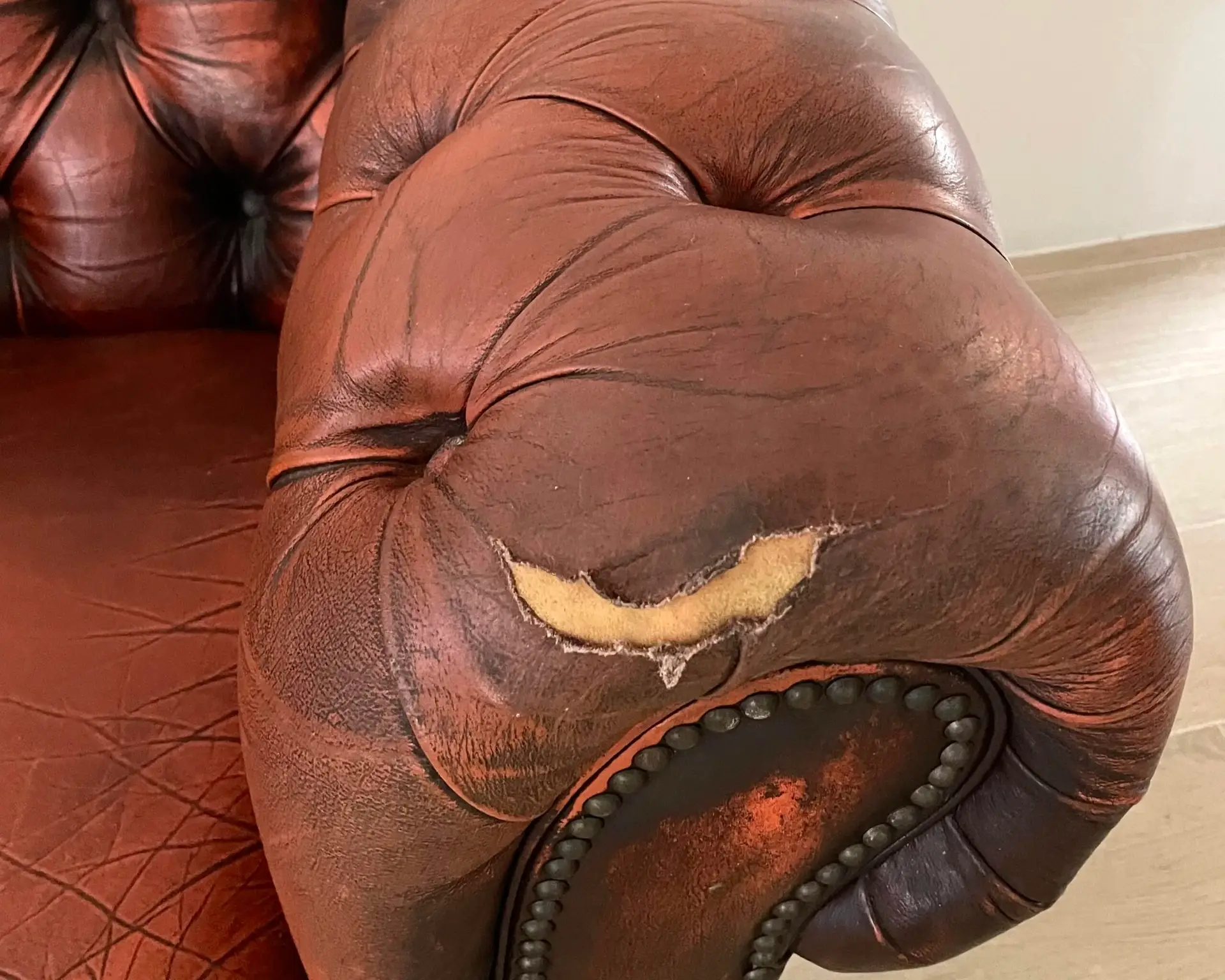 Tears and holes in leather