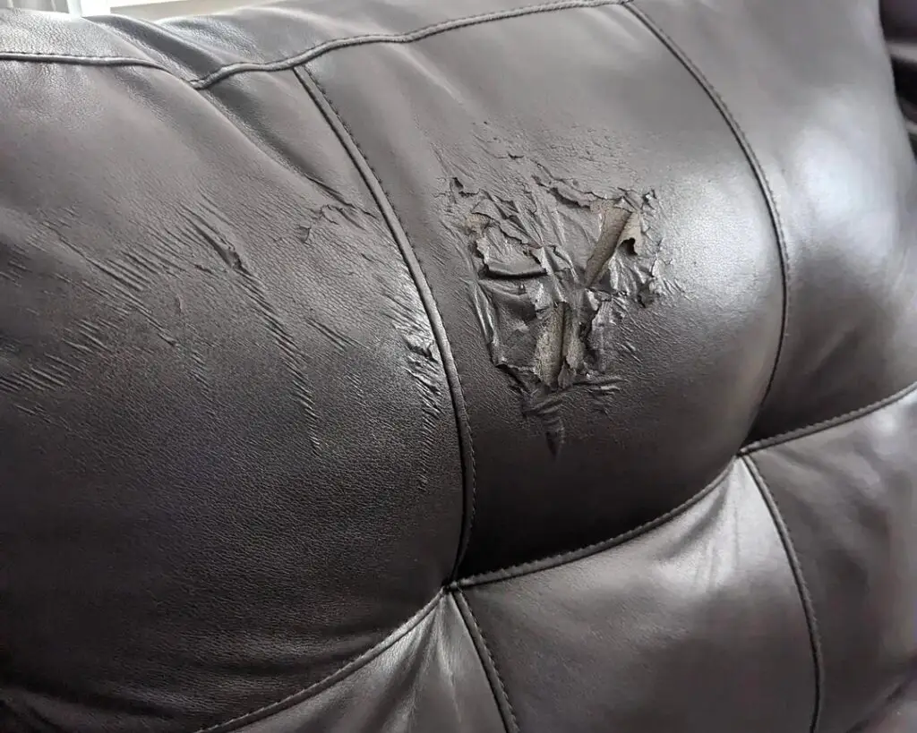 vinyl pealing on couch v0 mohc8mcs1ijrpetrpag7g7b3sd9a3t1gfpjgdwhauy0